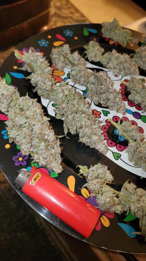 Permanent Marker. Week 15