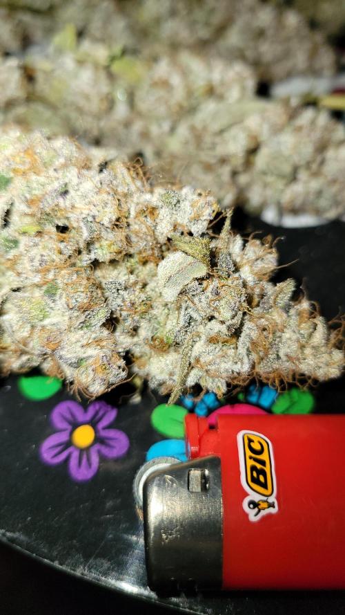 Permanent Marker. Week 15