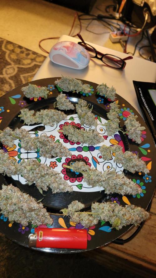 Permanent Marker. Week 15