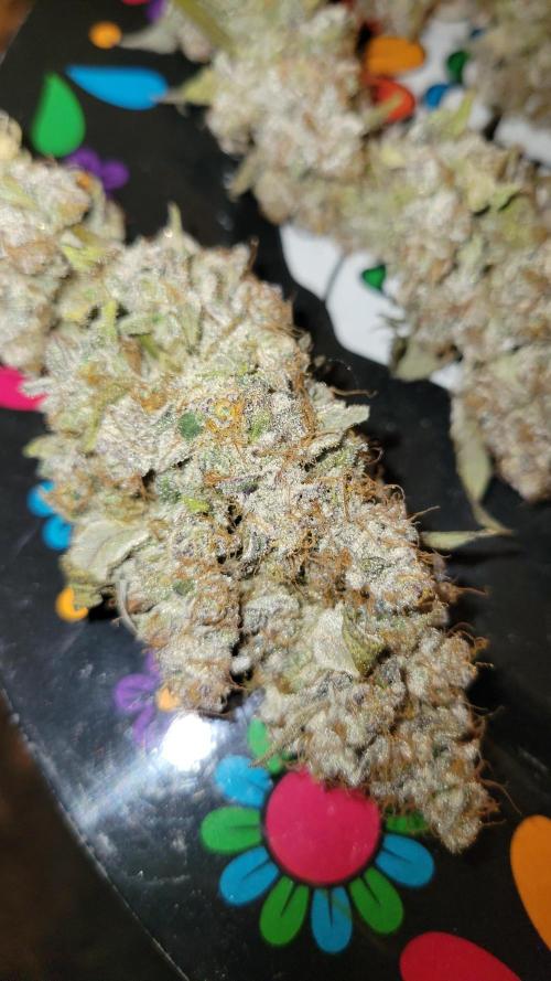 Permanent Marker. Week 15