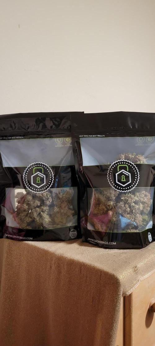 Permanent Marker. Week 15