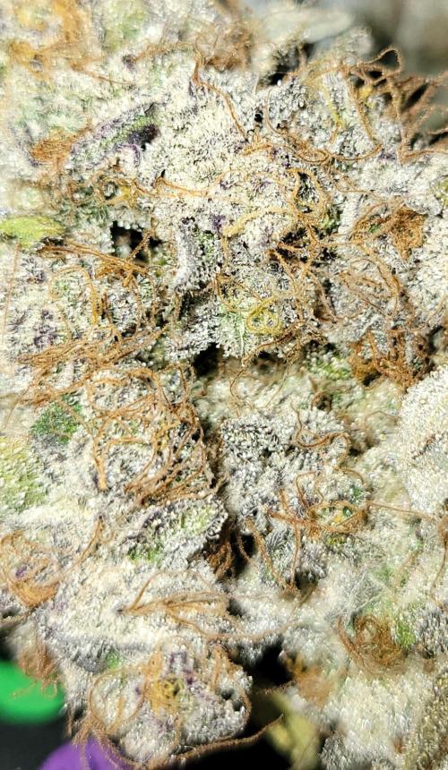 Permanent Marker. Week 15