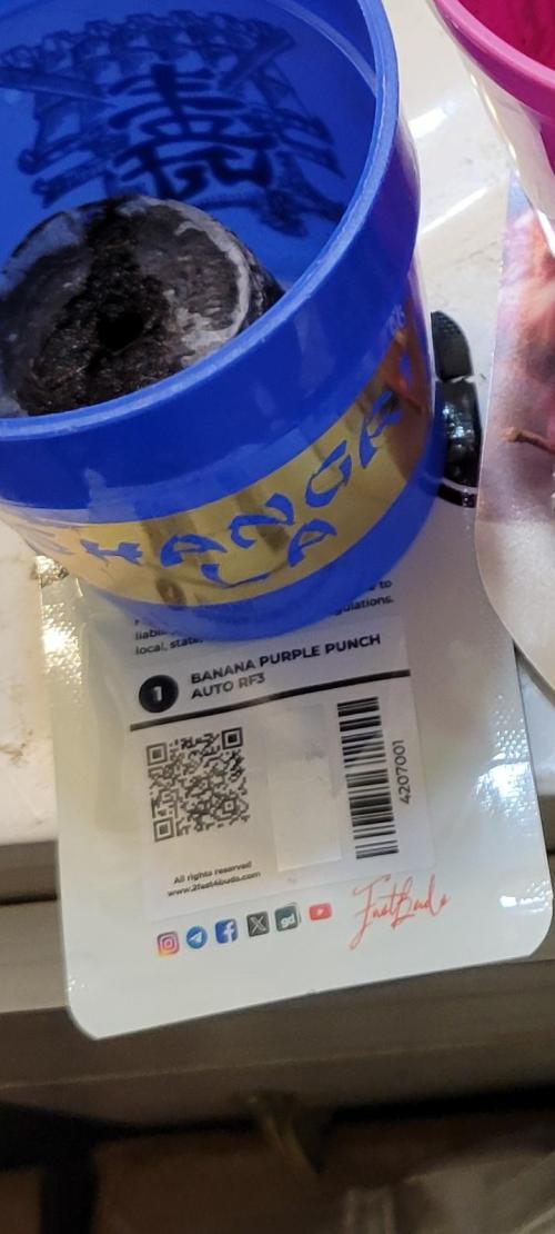 Banana Purple Punch RF3🍌👊. Week 0