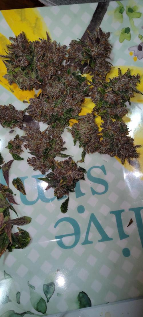 🍋🍒🍪 Lemon Cherry Cookies. Week 10
