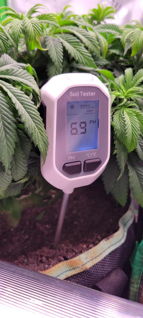Chem Funk. Week 9
