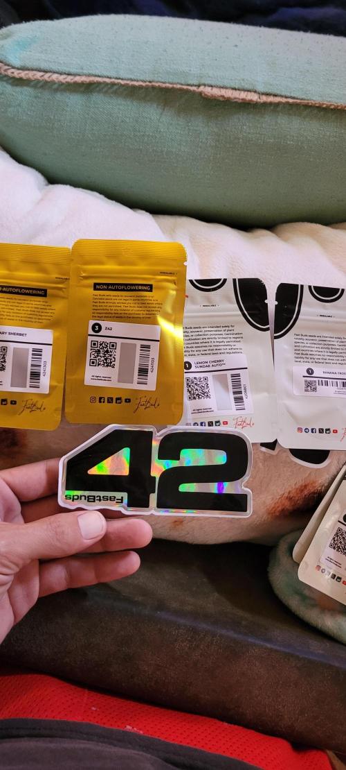 Z42 #2. Week 0
