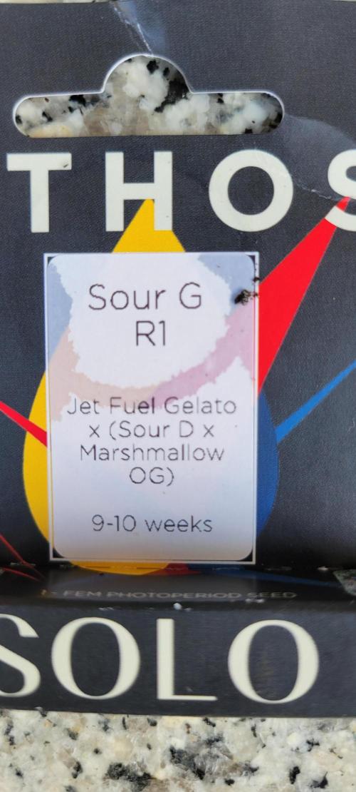 Sour G R1-Ethos. Week 0