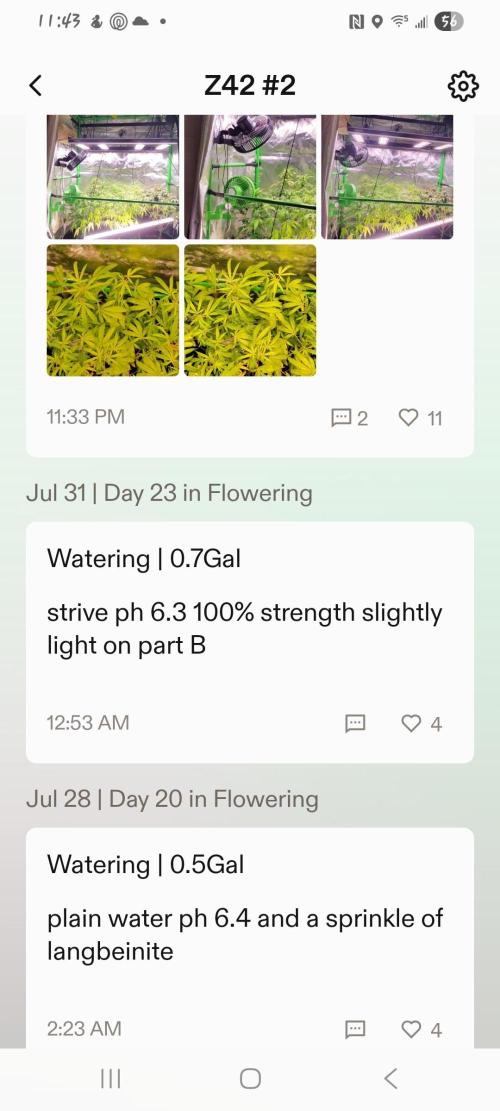 Z42 #2. Week 11