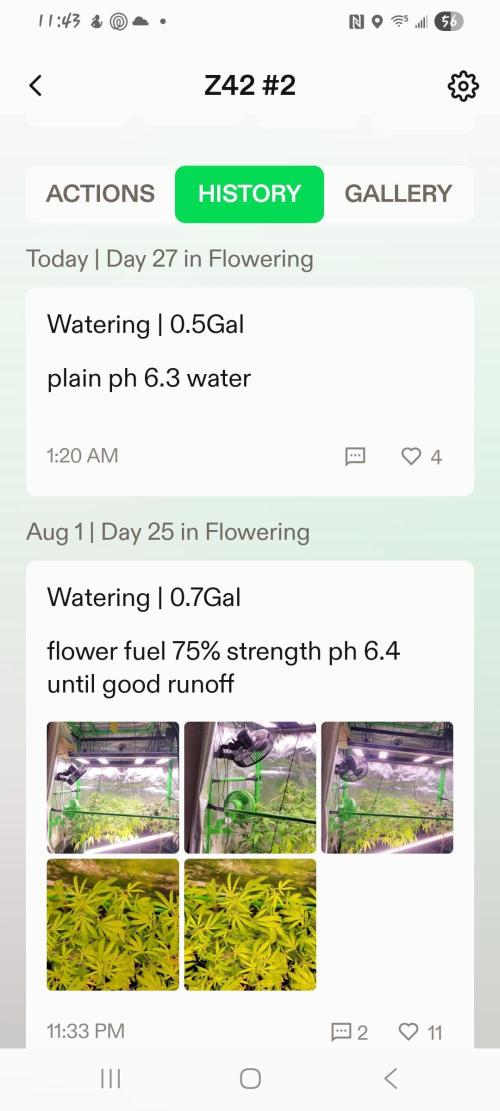 Z42 #2. Week 11
