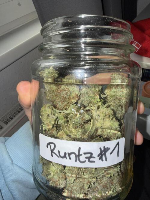 Autumn Grow. Week 12