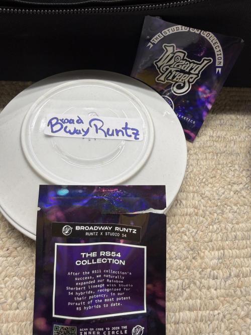 1st Living Soil , Wizard Trees. Week 0