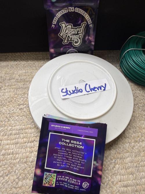 1st Living Soil , Wizard Trees. Week 0