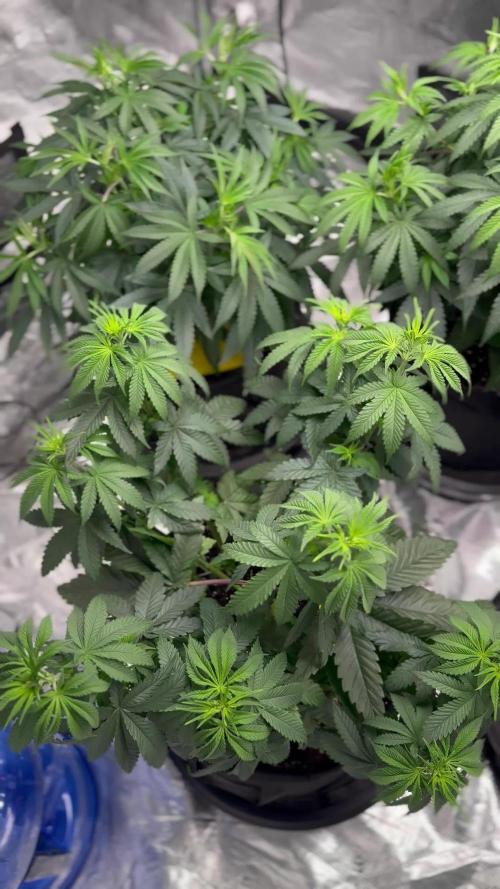 Mission Log: 10th Planet R1