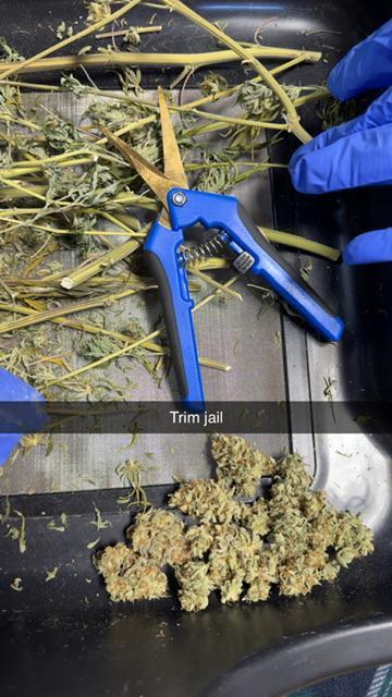 Mission Log: 10th Planet+ Durban Cookies. Week 17