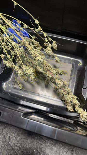 Mission Log: 10th Planet+ Durban Cookies. Week 17