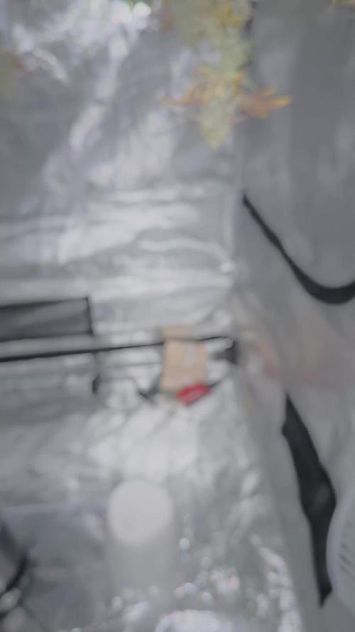 Mission Log: 10th Planet+ Durban Cookies