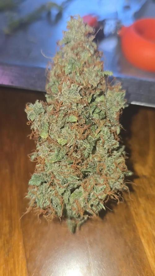 Gaia f1
