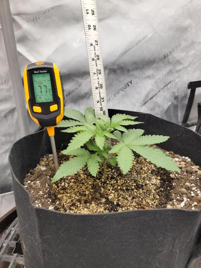 Gator breath. Week 2 - Doing good, have only gave it water so far