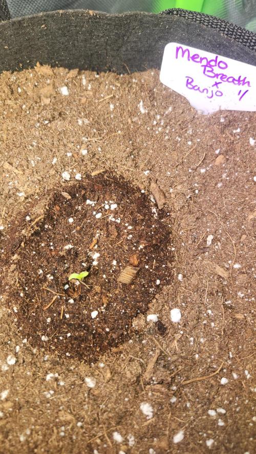 Can't Stop Won't Stop. Week 0