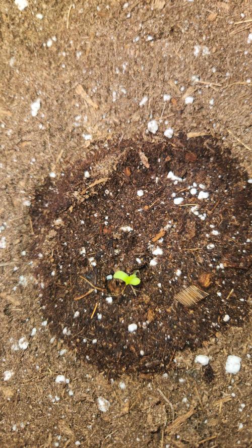 Can't Stop Won't Stop. Week 0