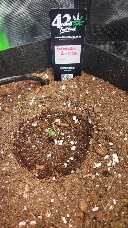 Can't Stop Won't Stop. Week 0