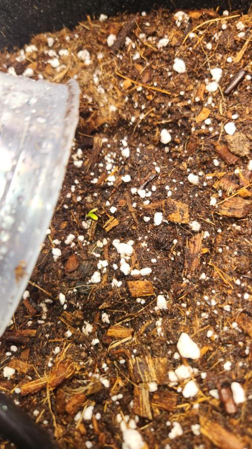 Can't Stop Won't Stop. Week 0