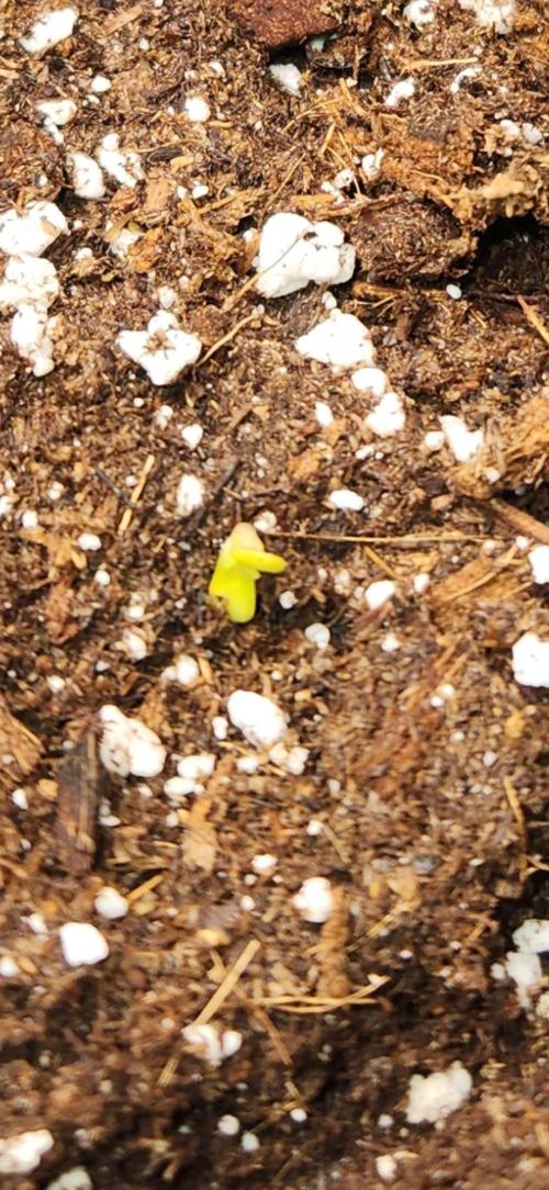 Can't Stop Won't Stop. Week 0