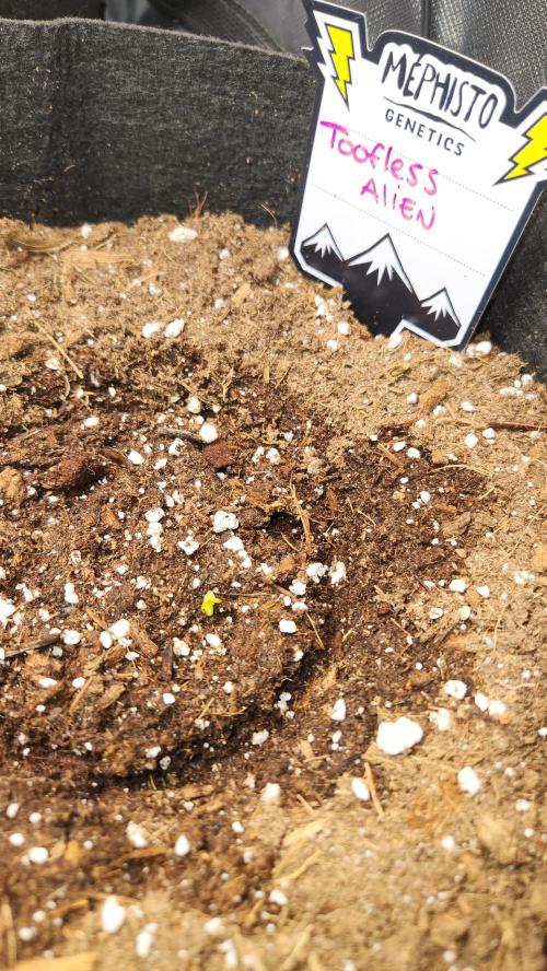 Can't Stop Won't Stop. Week 0