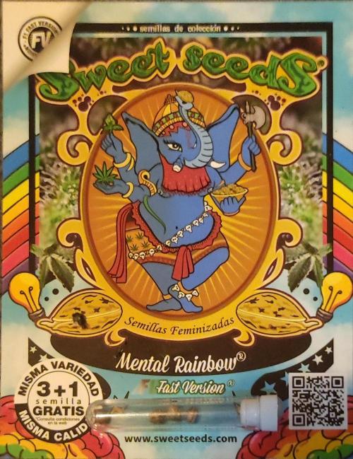 Mental rainbow F1. Week 0