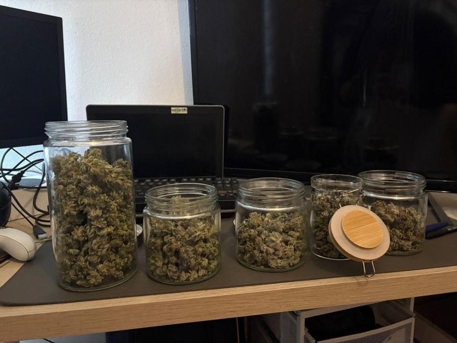 Red Hot Cookies 2nd run. Week 17