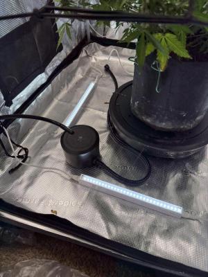 Comment by HuskyHouse photo #3