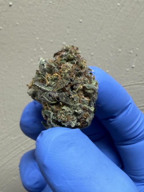 May the Kush and cookies be with you!. Week 10