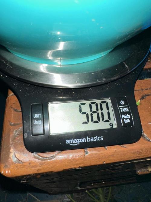 Why did the aurora get a bad review?. Week 17