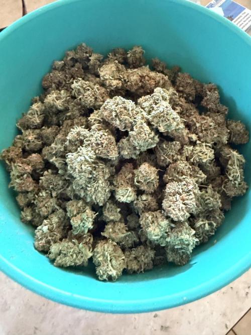 Why did the aurora get a bad review?. Week 17