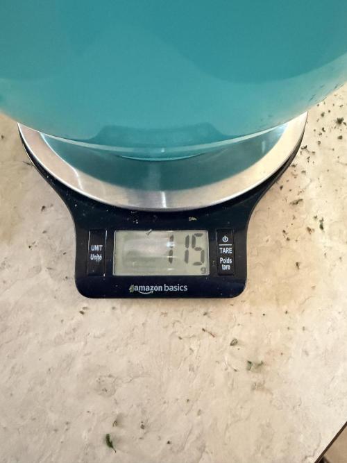 Why did the aurora get a bad review?. Week 17