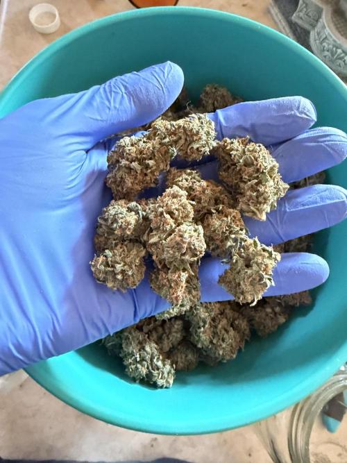 Why did the aurora get a bad review?. Week 17