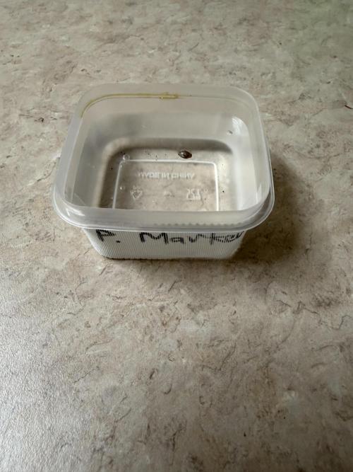 Permanent Marker. Week 0