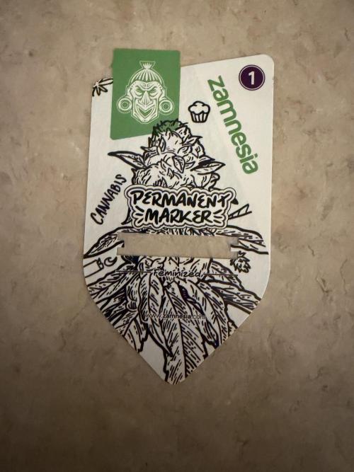 Permanent Marker. Week 0