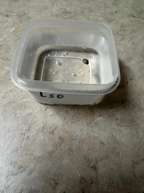 LSD 2x2 (budget tent). Week 0