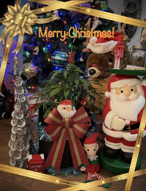 You're the berry best!. Week 5