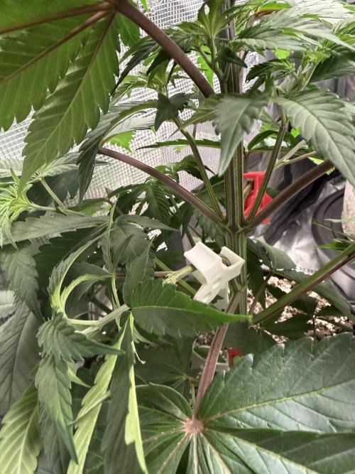 Permanent Marker. Week 6