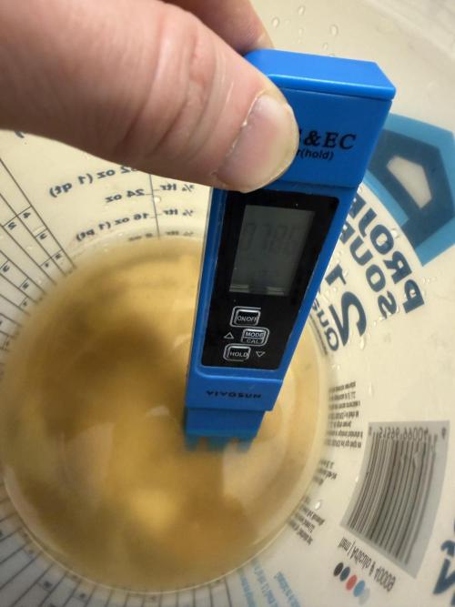 Trop cherry ( indoor ). Week 7