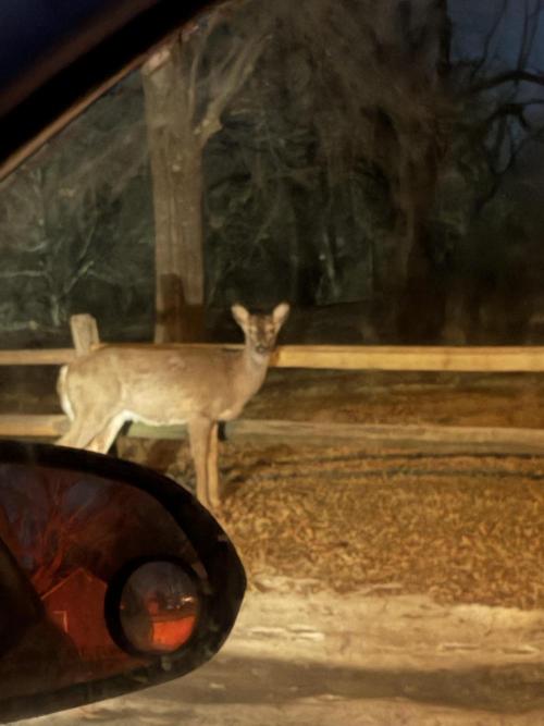 You're the berry best!. Week 13