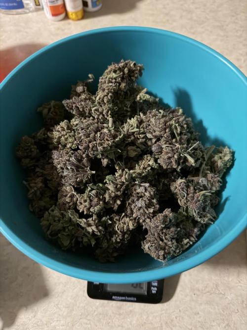 You're the berry best!. Week 13