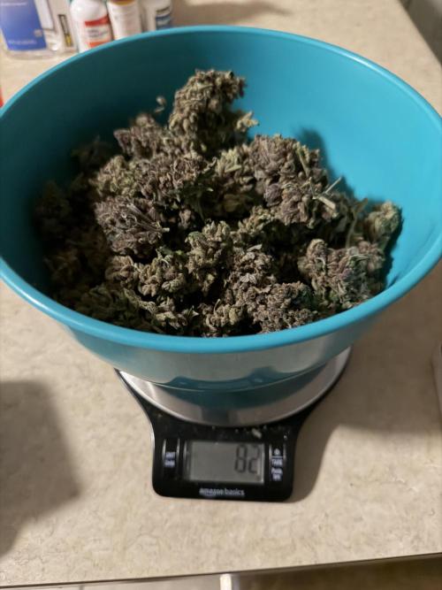 You're the berry best!. Week 13