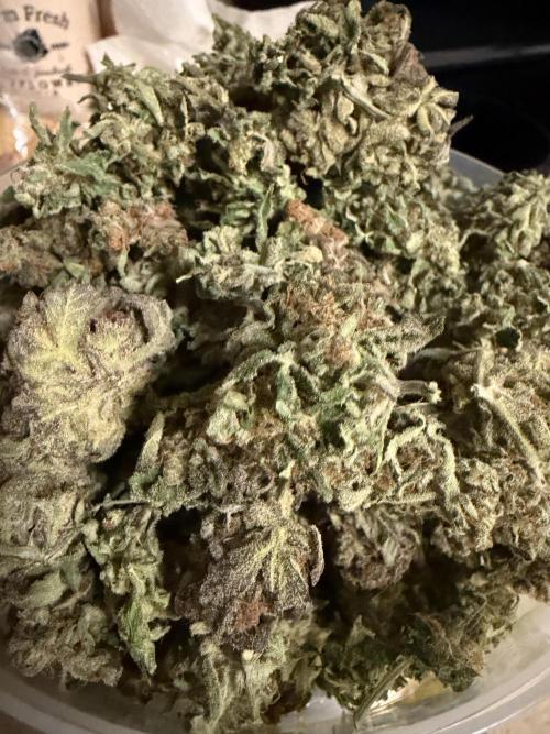 Critical mass by zamnesia. Week 17