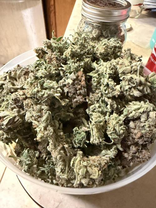 Critical mass by zamnesia. Week 17