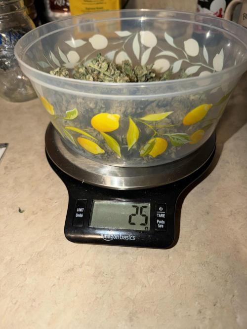 Trop cherry Mainlined ( indoor ). Week 17