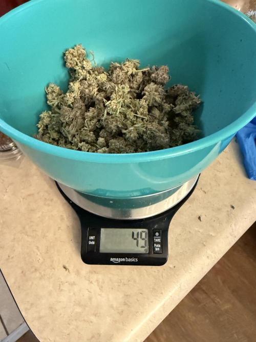 LSD 3x3. Week 21