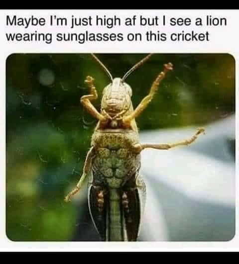 Meme by Antifame